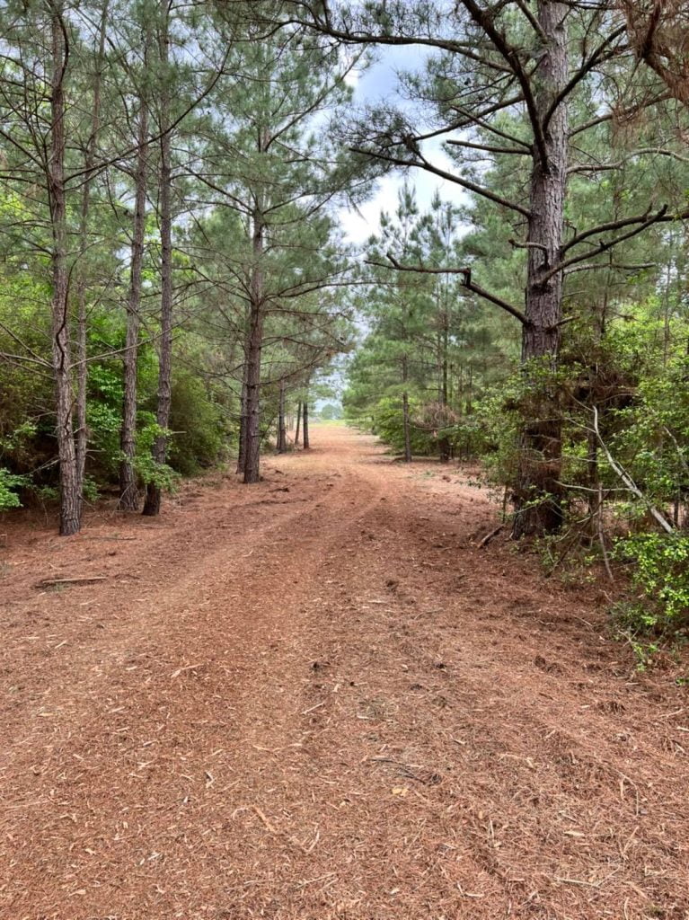 Land Clearing and Mulching Services in Crockett, Texas